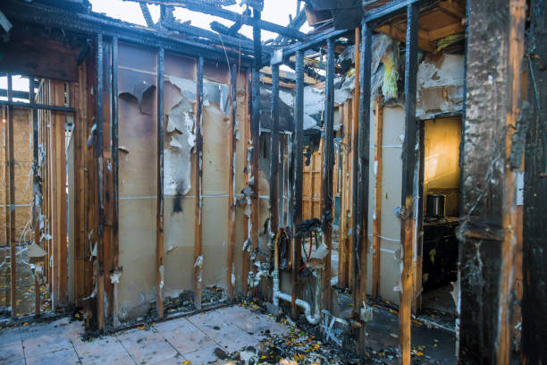 Professional Smoke Damage Removal technician working in Magee, MS